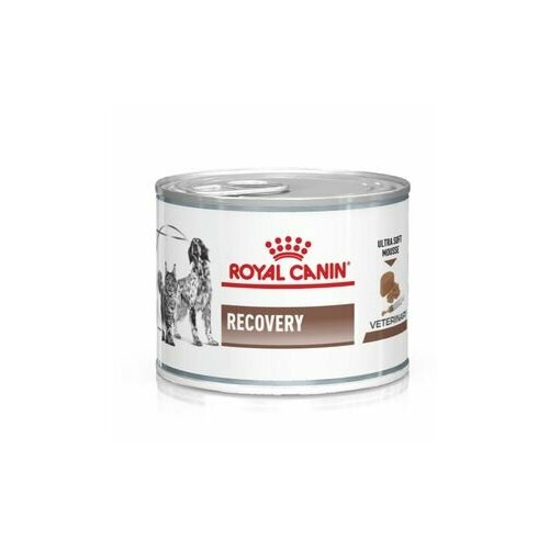 фото Royal Canin Recovery (мусс) 6шт х 195г, купить онлайн за 1890 рубл.