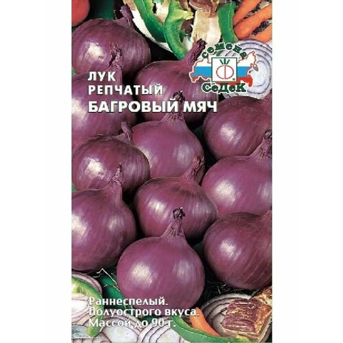 Лук репчатый 