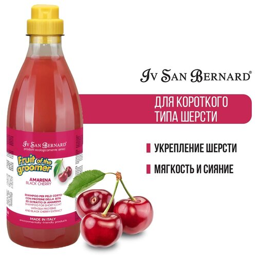 Шампунь -шампунь Iv San Bernard Fruit of the Groomer Black Cherry для кошек и собак с короткой шерстью с протеинами шелка , 1 л , 1 кг фото, описание