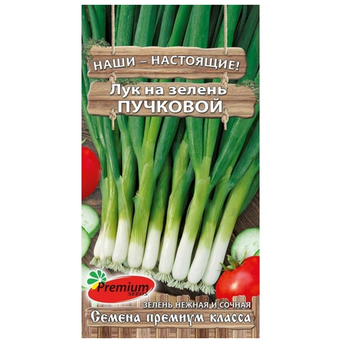 Семена Premium seeds Лук на зелень Пучковой, 1гр фото, описание