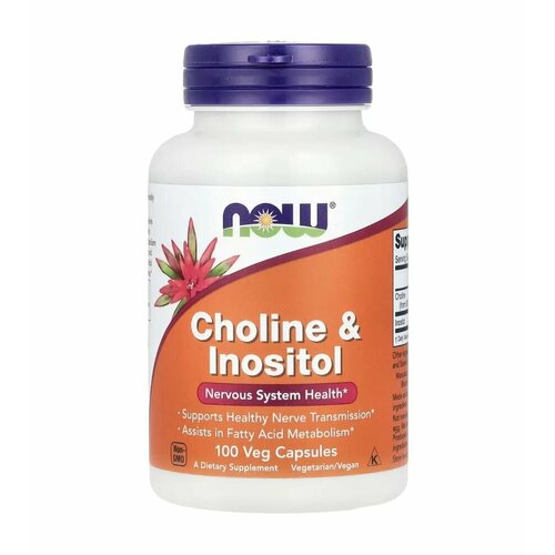 NOW Choline & Inositol Нау Холин и Инозитол, 500mg 100 Veg Caps фото, описание