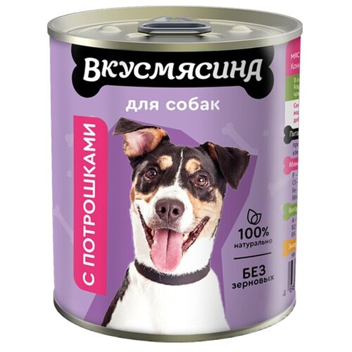 Влажный корм для собак Вкусмясина беззерновой, ягненок 1 шт. х 340 г фото, описание