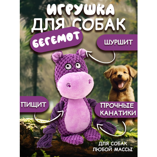 Игрушки для собак 