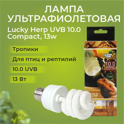 Лампа УФ Lucky Herp UVB 10.0 Compact, 13w фото, описание