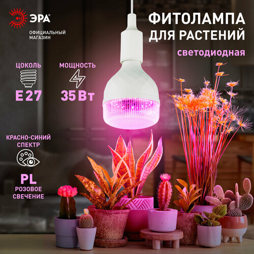 Фитолампа для растений светодиодная ЭРА GREEN LINE ФИТО-35W-PL-E27-GR красно-синего спектра 35 Вт Е27 фото, описание