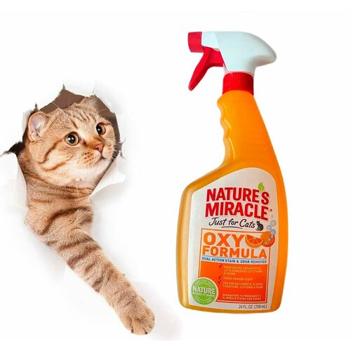 Уничтожитель пятен и запахов для кошек Nature's Miracle Oxy Formula Cat Stain and Odor Remover фото, описание