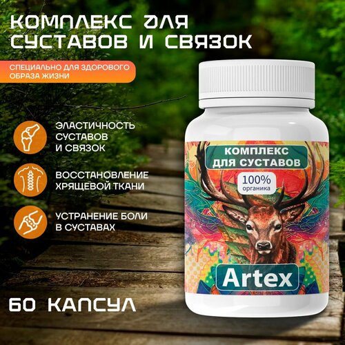 Средство Artex для суставов Артекс для укрепления сухожилий и костей фото, описание