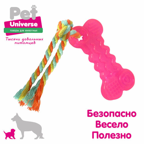 Мини косточка с канатиком Pet Universe. Для щенков и мелких пород 18*4.3 см/PU3006R фото, описание