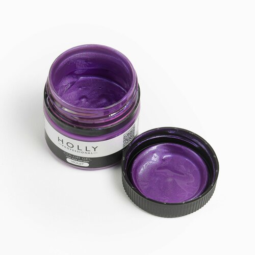 Holly Professional Грим на гелевой основе / краска для лица, волос и тела Color Gel Violet фото, описание