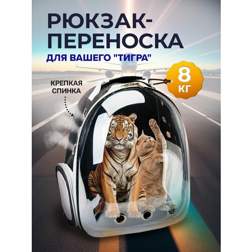 Переноска для кошек и собак сумка фото, описание