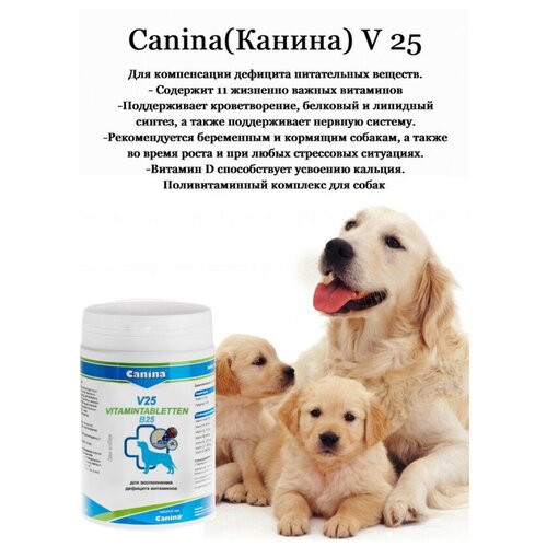 Добавка в корм для собак Canina V 25, 700г/210 таб фото, описание