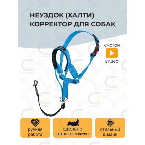 Недоуздок (Халти) №3 корректор для собак CHOKERZ. Обхват морды 20-30 см, шеи - 40-50 см фото, описание