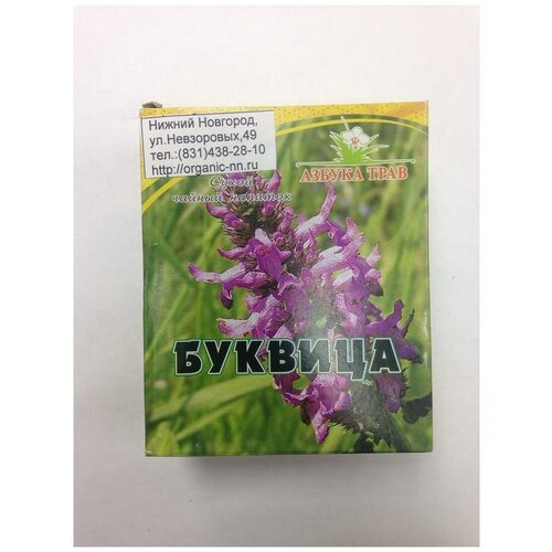 Буквица лекарственная, трава 1,5гр*20 фильтр-пакетов Азбука трав (Betonica officinalis L.) фото, описание