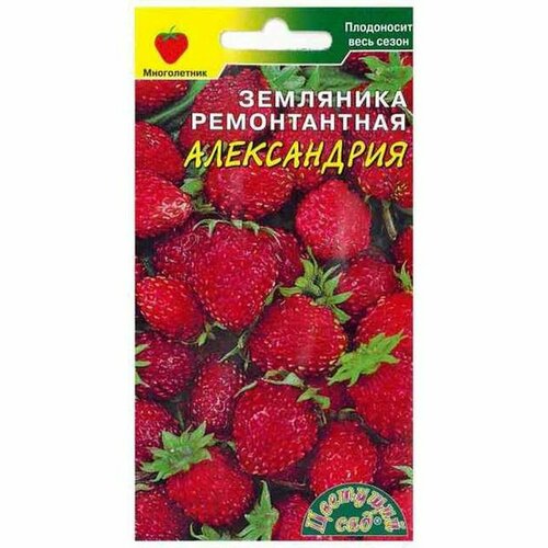 Семена Земляника Александрия, среднеспелый, (Цветущий Сад) 0,03г фото, описание