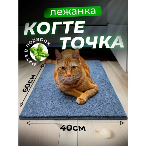 Когтеточка для кошки напольная лежанка с кошачьей мятой, 60х40 см/ серая фото, описание