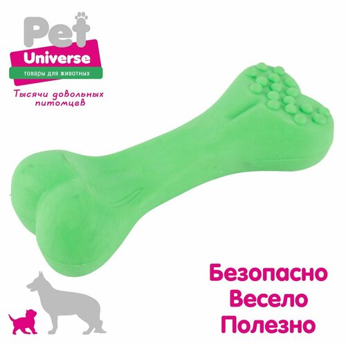 Игрушка для собак Pet Universe косточка с пупырышками, 12 см, ТПР, зелёный PU3071GN фото, описание