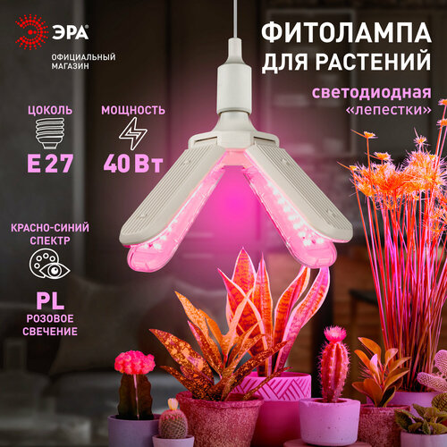 Фитолампа для растений светодиодная ЭРА GREEN LINE ФИТО-40W-PL-E27-GR 4-х лепестковая красно-синего спектра 40 Вт Е27 фото, описание