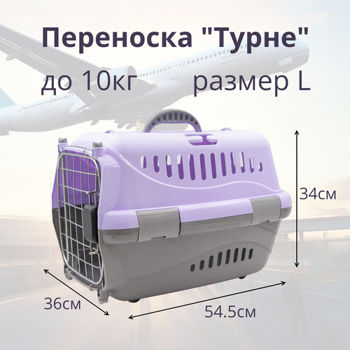 Переноска для животных Zooexpress Турне L авиа с металлической дверцей (коврик + ремень) фиолетовая, 54.5 х 36 х 34см фото, описание