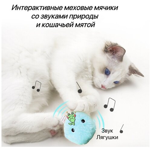 Игрушки для кошек, интерактивный мячик со звуком и кошачьей мяты для кошек фото, описание