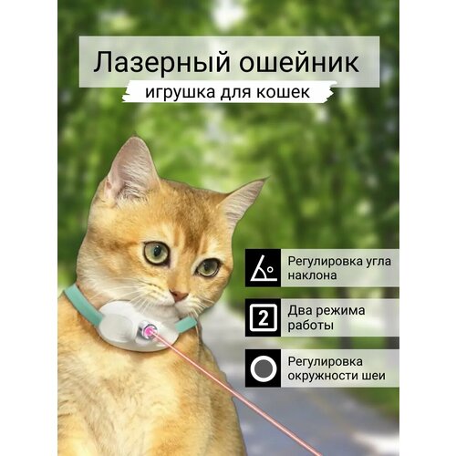 Игрушка для кошек интерактивный лазерный ошейник фото, описание