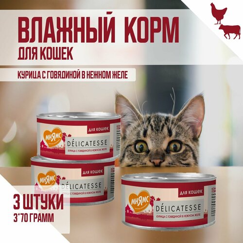 Влажный дополнительный корм Мнямс для кошек, Курица с говядиной в нежном желе, 70г х 3шт фото, описание