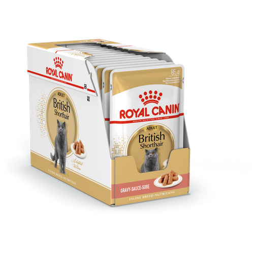 Корм для кошек Royal Canin British Shorthair Adult (Британская Короткошерстная Эдалт)Корм для взрослых британских короткошерстных кошек, соус, 24x85г фото, описание