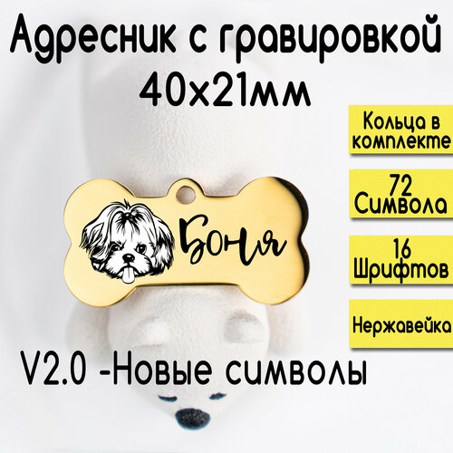 Адресник для собак и кошек с гравировкой, размер 40х21mm Золотой зеркальный (нерж сталь) v2.0 фото, описание