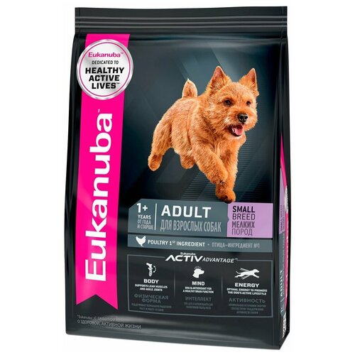 Eukanuba Для взрослых собак малых пород с курицей (Adult Small breed) 20880080R1 | Adult Small breed, 0,8 кг фото, описание