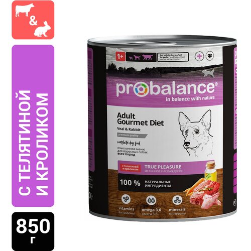 Влажный корм для собак ProBalance Gourmet Diet, телятина, кролик 1 уп. х 1 шт. х 850 г фото, описание