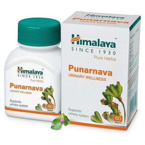 Пунарнава Himalaya Wellness Pure Herb 60 таб. фото, описание