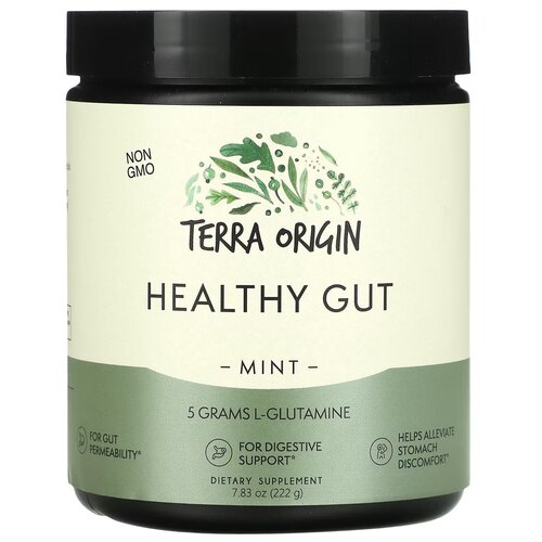 Terra origin, healthy gut, добавка для нормализации функции желудочно-кишечного тракта, вкус мята, 222 гр фото, описание