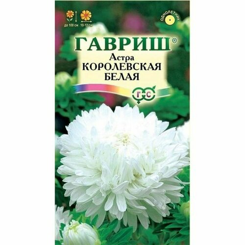 Семена Астра Королевская белая (однолетние) (гавриш) 0,3г фото, описание