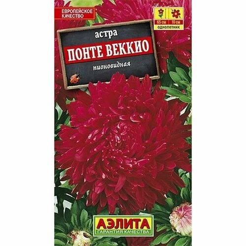 Семена Астра Понте Веккио, однолетник, (Аэлита) 0,2г фото, описание