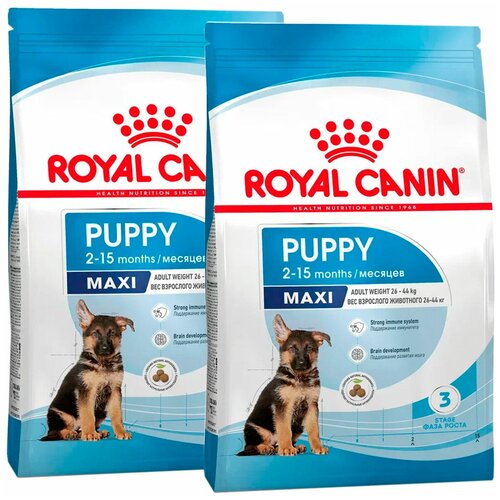 Сухой корм ROYAL CANIN MAXI PUPPY для щенков крупных пород (3 + 3 кг) фото, описание