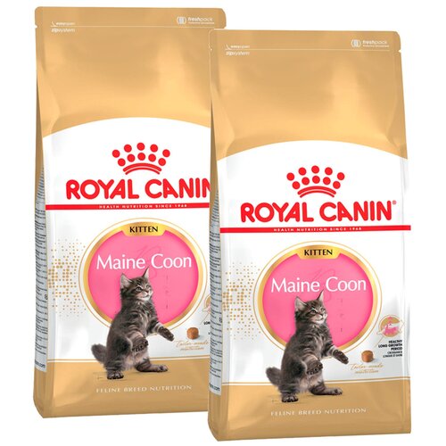 Сухой корм ROYAL CANIN MAINE COON KITTEN 36 для котят мэйн кун (0,4 + 0,4 кг) фото, описание