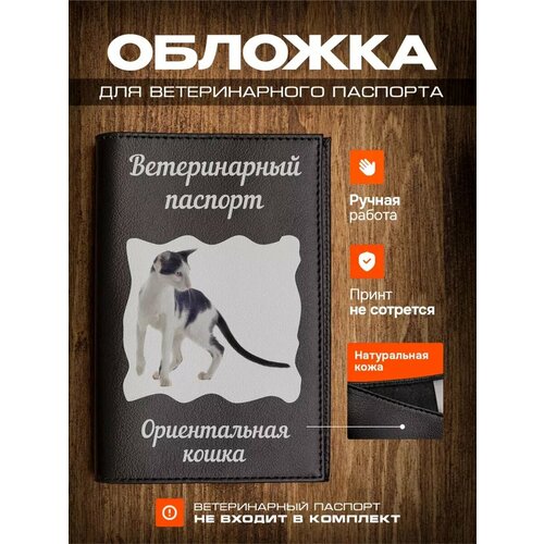 Обложка на ветеринарный паспорт для кошек с принтом Ориентальная кошка фото, описание