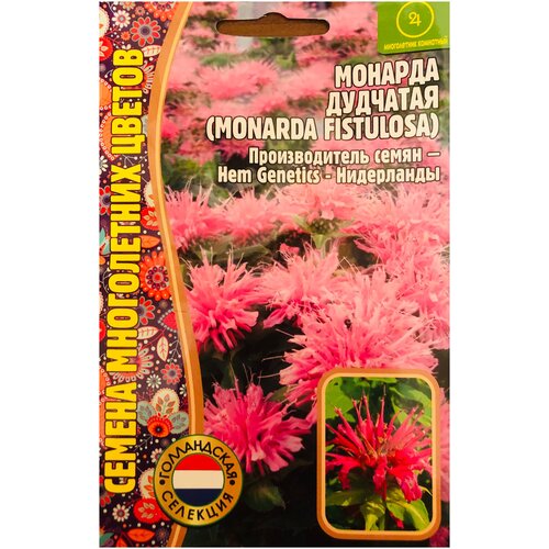 Семена Монарды дудчатой (Monarda fistulosa) (0,1 г) фото, описание