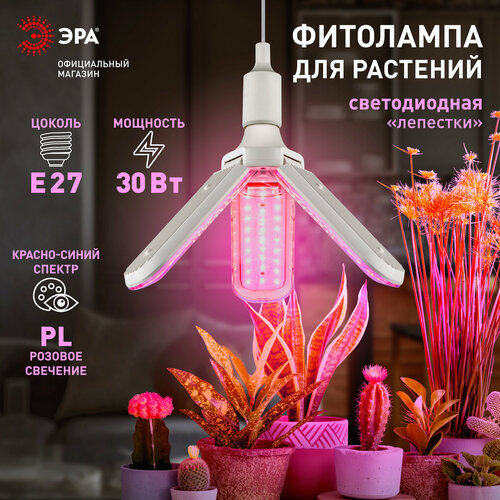 Фитолампа для растений светодиодная ЭРА GREEN LINE ФИТО-30W-PL-E27-GR 3-х лепестковая красно-синего спектра 30 Вт Е27 фото, описание