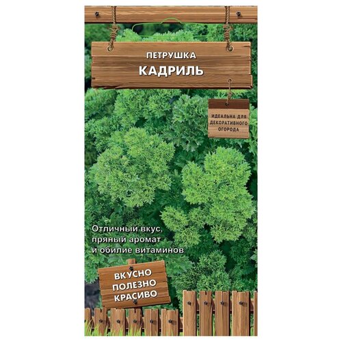 фото Петрушка Кадриль 2 г, купить онлайн за 487 рубл.