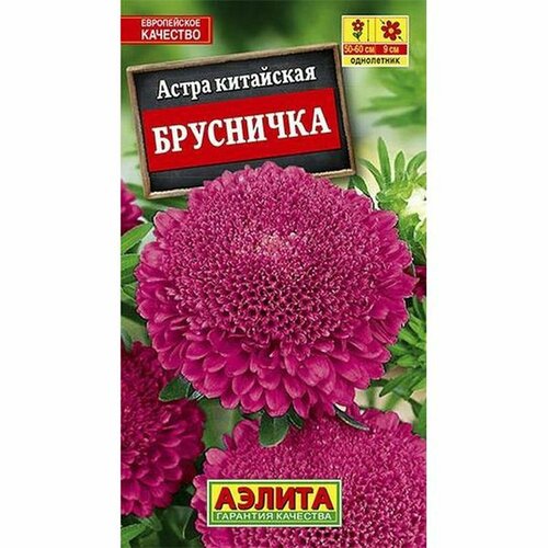 Семена Астра Брусничка (однолетние) (Аэлита) 0,2г фото, описание