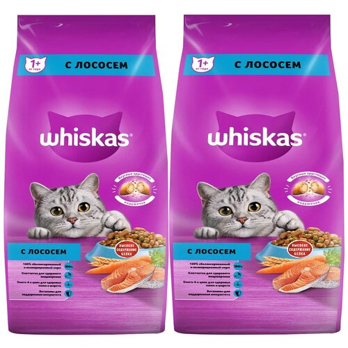 WHISKAS аппетитный обед для взрослых кошек c лососем с нежным паштетом (5 + 5 кг) фото, описание