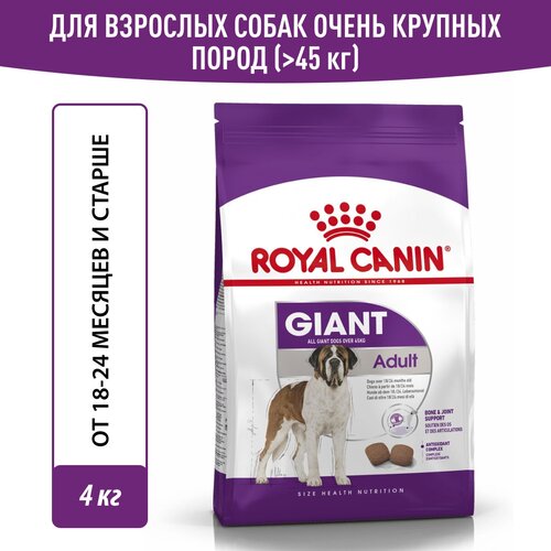 Корм для собак Royal Canin Giant Adult ( Джайнт Адалт) сухой для взрослых собак очень крупных размеров старше 18 месяцев, 4 кг фото, описание