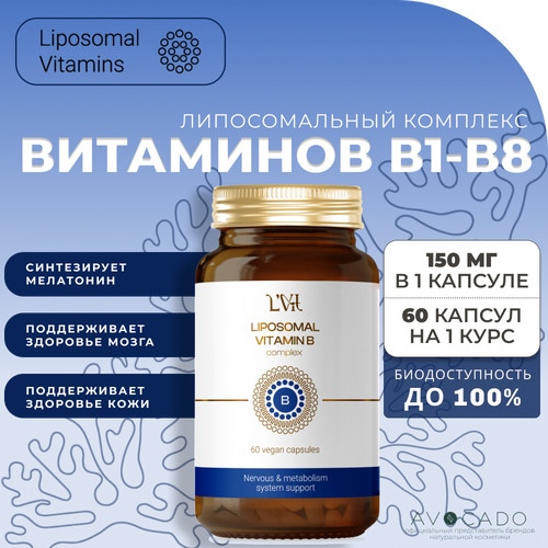 Liposomal Vitamins Липосомальный комплекс витаминов группы B1- B8 для нормализации работы нервной системы, 60 капсул фото, описание