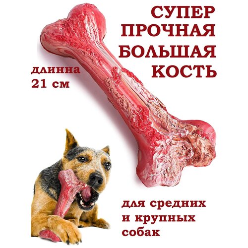 Игрушки для собак, кость, грызунок, кусалка для собак, зубочистки, антистресс фото, описание