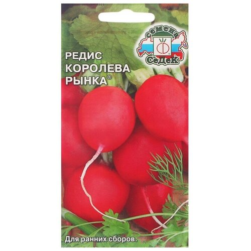 Семена СеДек Редис Королева Рынка фото, описание