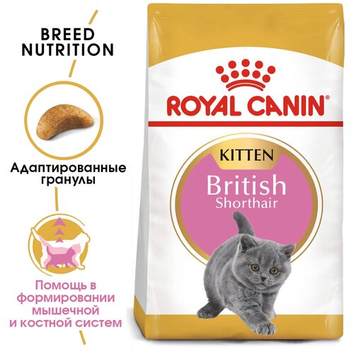 Сухой корм для котят Royal Canin Kitten British Shorthair для британских короткошерстных котят от 4 до 12 месяцев 2 уп. х 2 шт. х 10000 г фото, описание