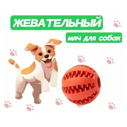 Жевательная игрушка мяч для собак и кошек, шарик для чистки зубов 5см фото, описание