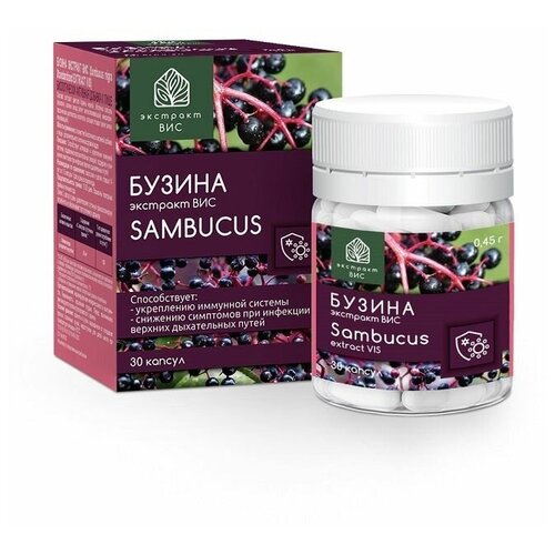 Бузина экстракт ВИС (Sambucus nigra Standardized EXTRACT VIS) капсулы 0,45 г №30 фото, описание