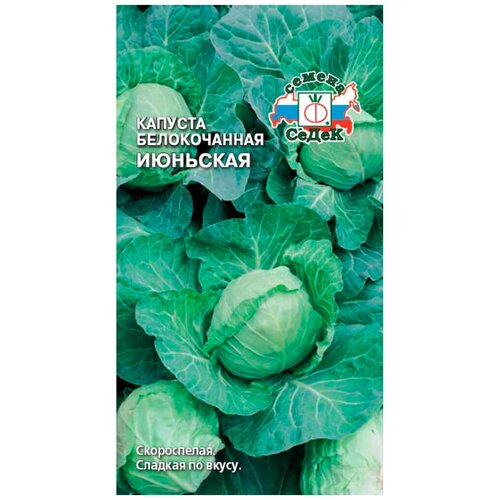 Семена Капуста Белокочанная Июньская 0,5г пачка, СеДеК. фото, описание