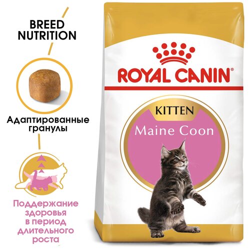 Корм сухой ROYAL CANIN MAINE COON KITTEN корм для котят породы мейн-кун в возрасте от 3 до 15 месяцев 10 кг х 2 шт фото, описание